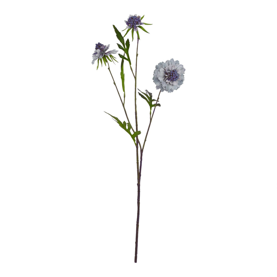 Pale Blue Scabious Stem - Modern Rattan Ltd