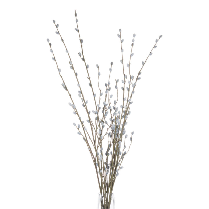 Pussy Willow Branch - Modern Rattan Ltd