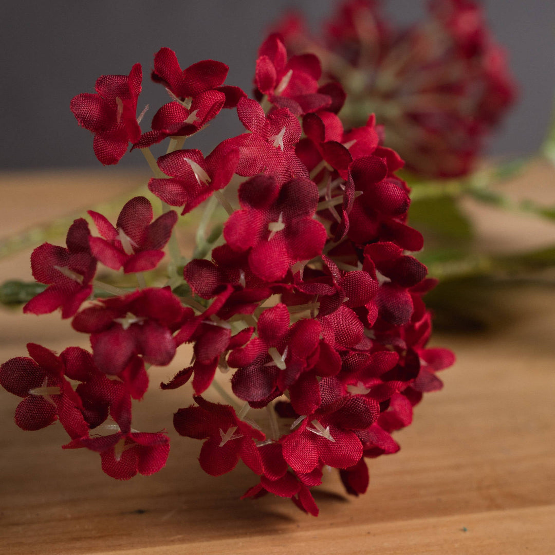 Red Autumnal Viburnum - Modern Rattan Ltd