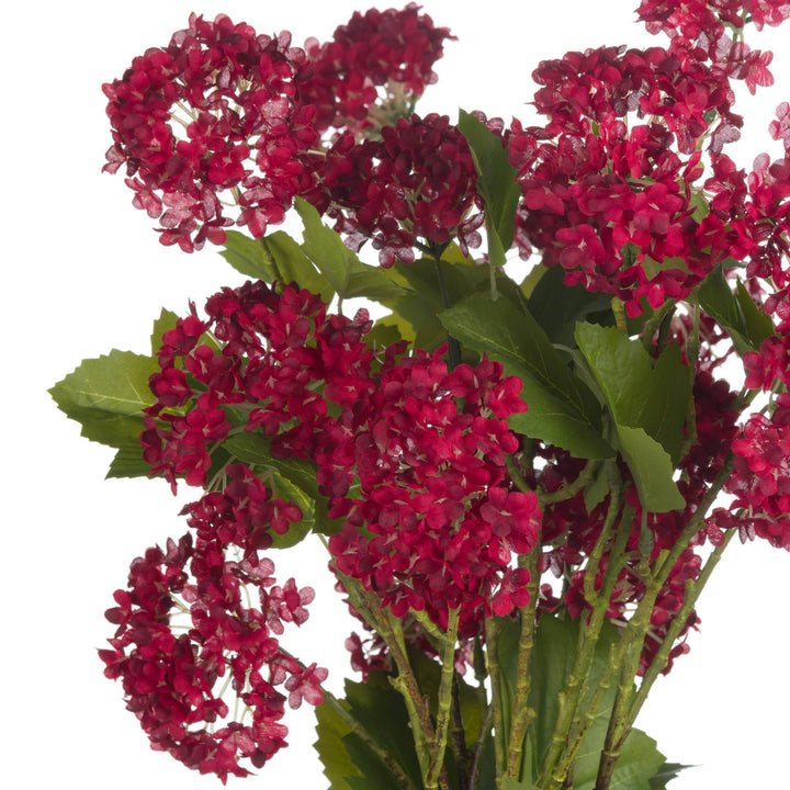 Red Autumnal Viburnum - Modern Rattan Ltd