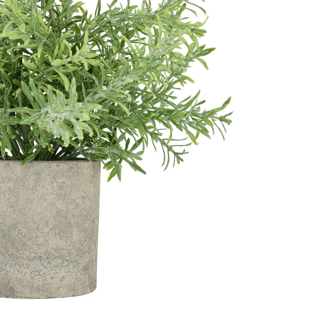 Rosemary Plant In Stone Effect Pot - Modern Rattan Ltd