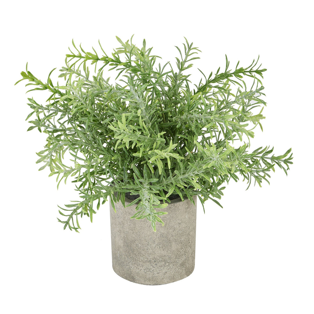 Rosemary Plant In Stone Effect Pot - Modern Rattan Ltd