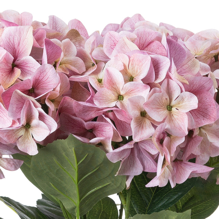 Shabby Pink Hydrangea Bouquet - Modern Rattan Ltd