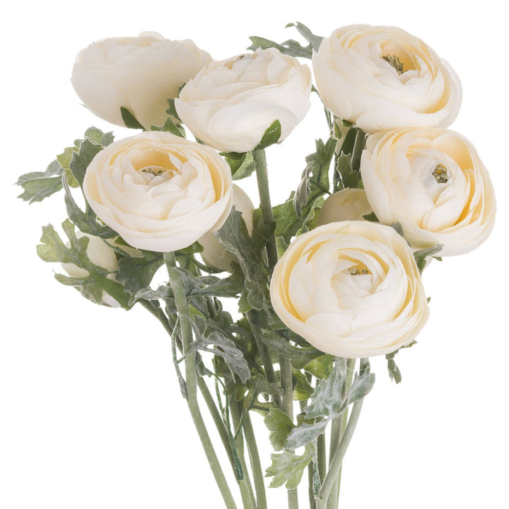 Soft Cream Ranunculus - Modern Rattan Ltd