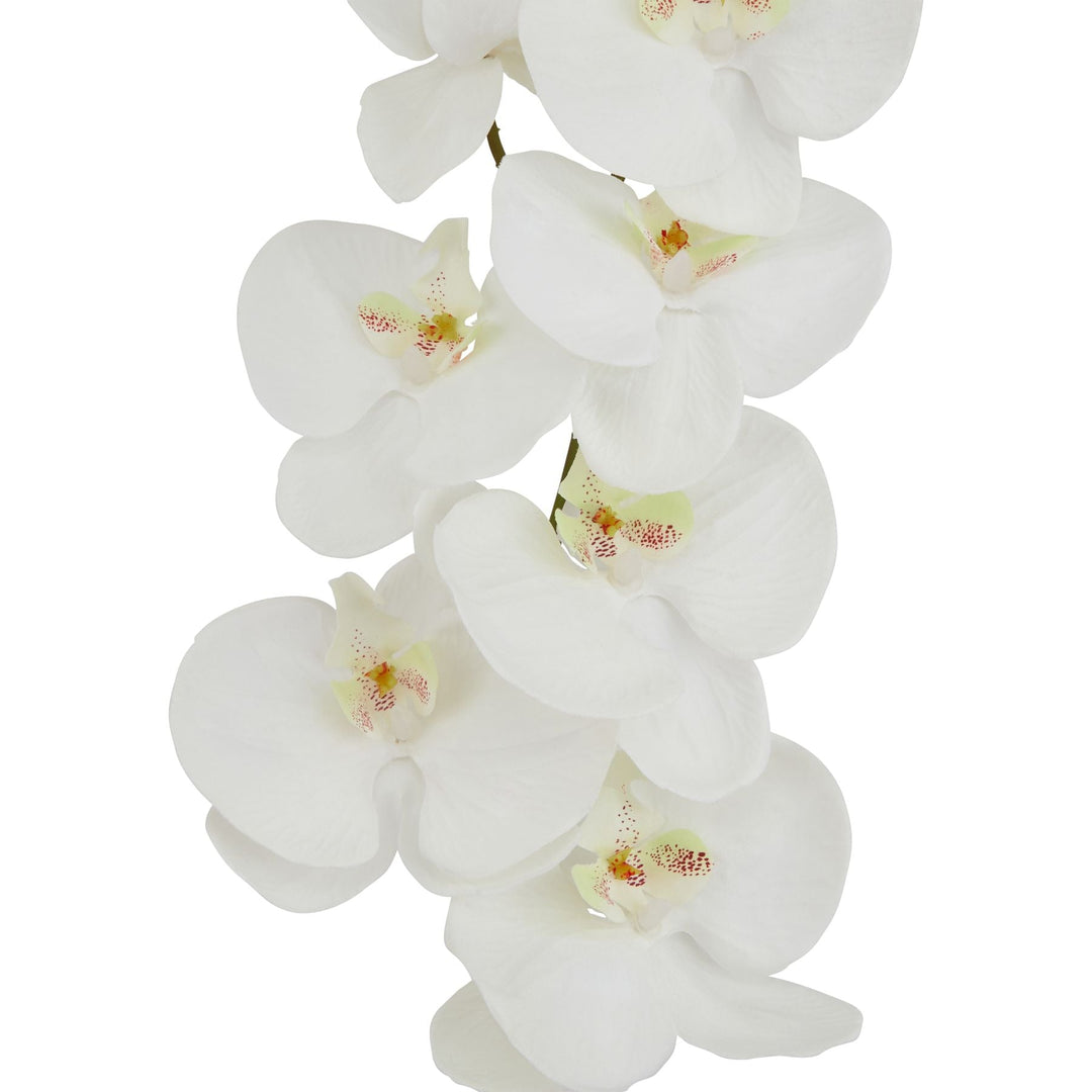 Tall White Butterfly Orchid Stem - Modern Rattan Ltd