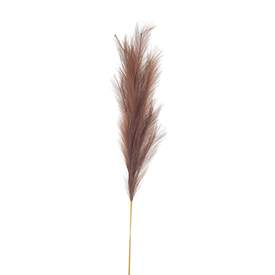 Taupe Large Faux Pampas Grass Stem - Modern Rattan Ltd