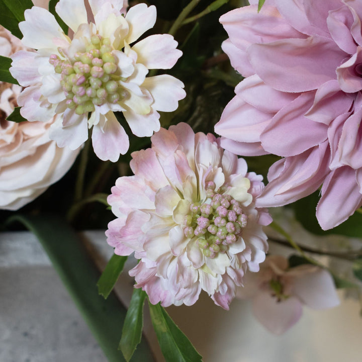 The Natural Garden Collection Pale Pink Scabious Stem - Modern Rattan Ltd