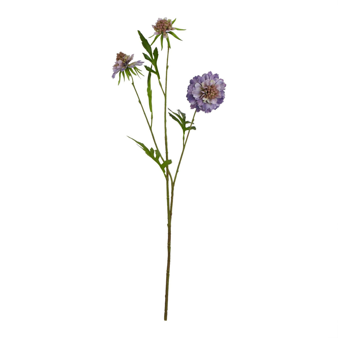 The Natural Garden Collection Purple Scabious Stem - Modern Rattan Ltd