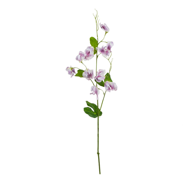 The Natural Garden Collection Purple Sweetpea Stem - Modern Rattan Ltd