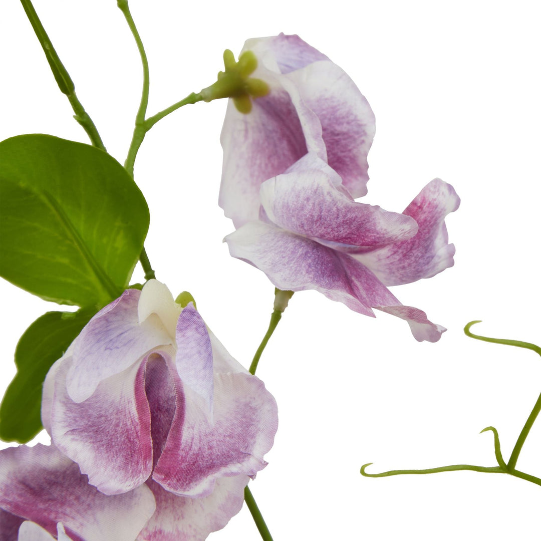 The Natural Garden Collection Purple Sweetpea Stem - Modern Rattan Ltd