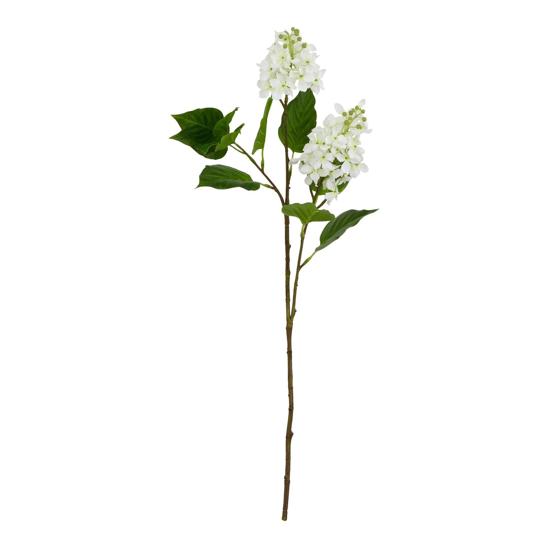 The Natural Garden Collection White Lilac Stem - Modern Rattan Ltd