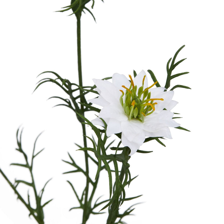 The Natural Garden Collection White Nigella Love In A Mist - Modern Rattan Ltd