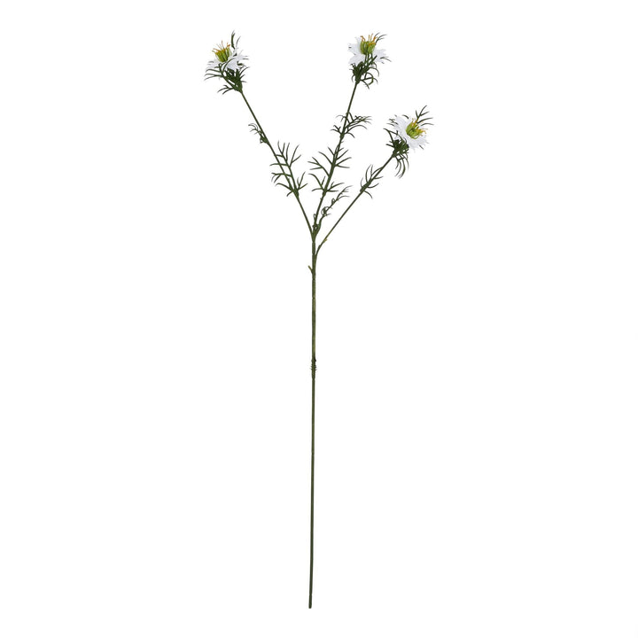 The Natural Garden Collection White Nigella Love In A Mist - Modern Rattan Ltd