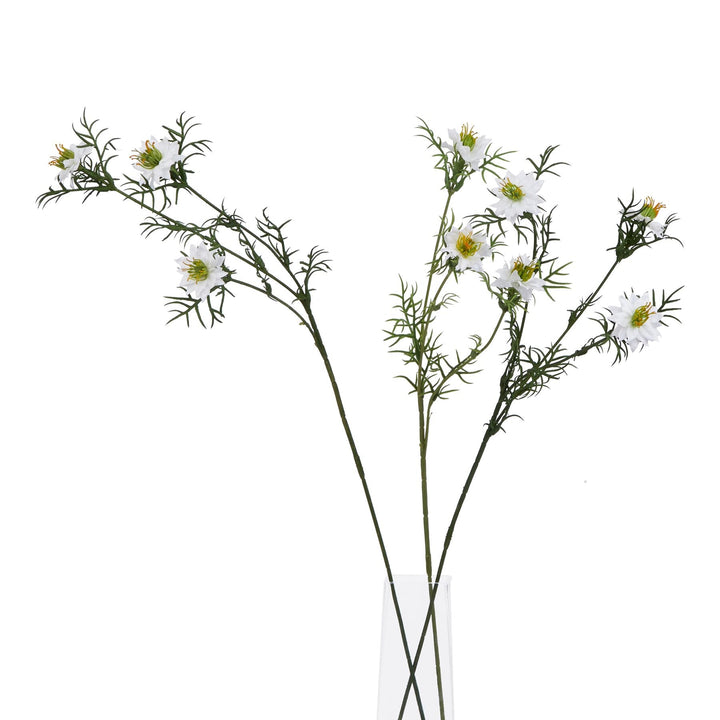 The Natural Garden Collection White Nigella Love In A Mist - Modern Rattan Ltd