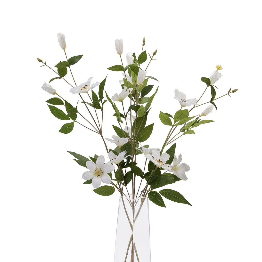 White Florida Clematis - Modern Rattan Ltd