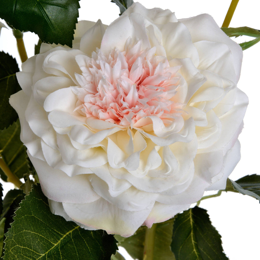 White Garden Rose Spray - Modern Rattan Ltd