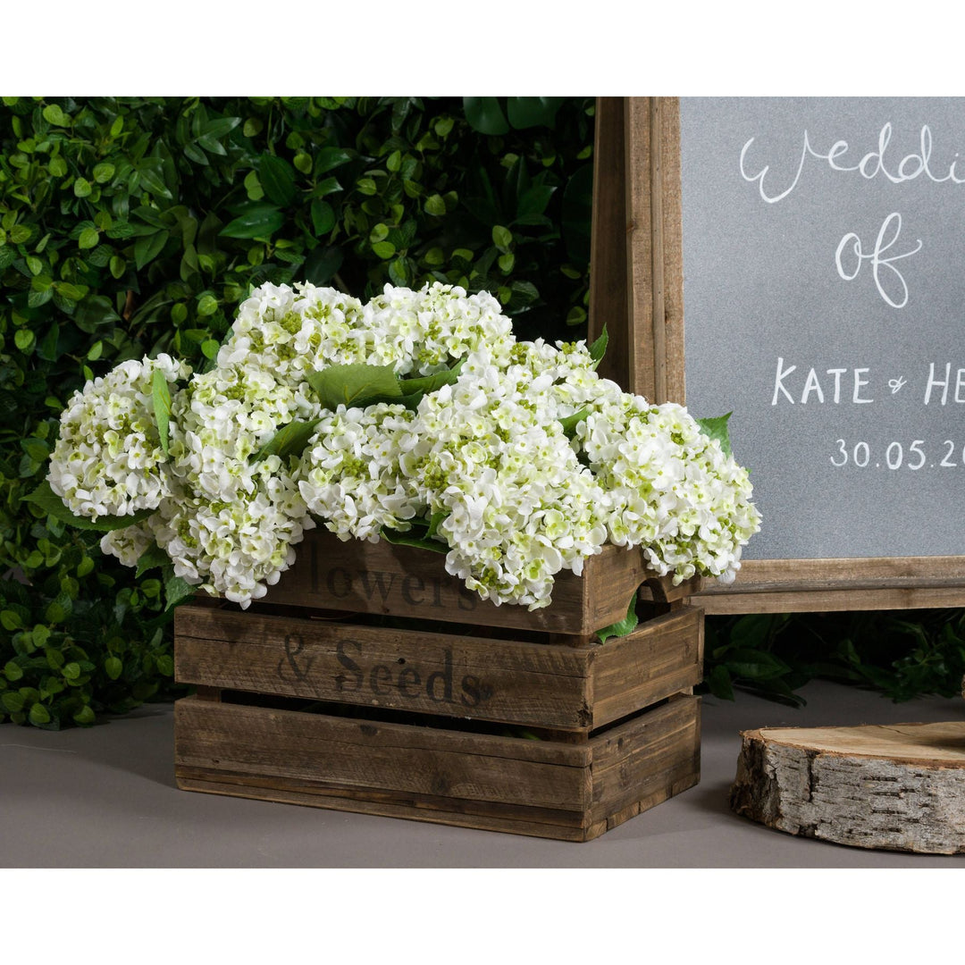 White Lace Cap Hydrangea - Modern Rattan Ltd