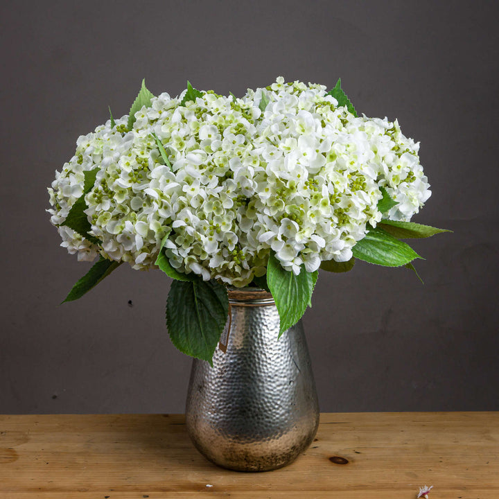 White Lace Cap Hydrangea - Modern Rattan Ltd