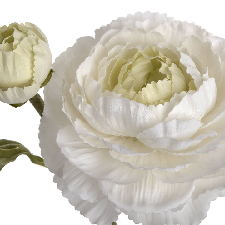 White Ranunculus Spray - Modern Rattan Ltd