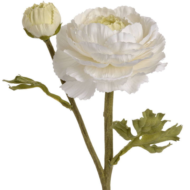 White Ranunculus Spray - Modern Rattan Ltd