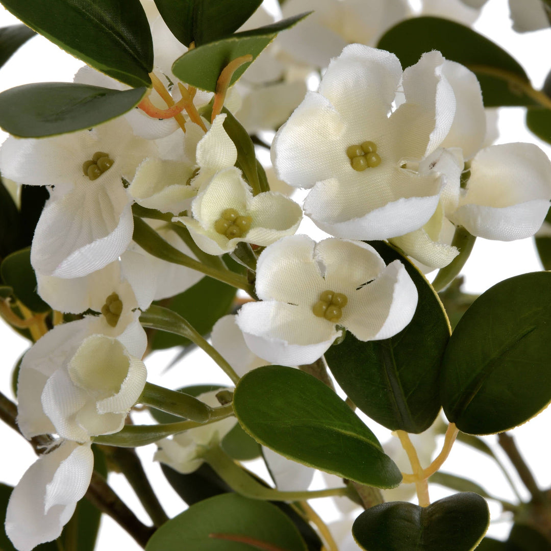 White Spring Mock Orange Flower - Modern Rattan Ltd